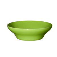 Gastron Individual Salad Bowl Discontinued Emile Henry USA = Green apple 